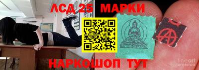 стаф Брянск