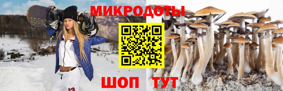 Псилоцибиновые грибы мицелий Вязьма