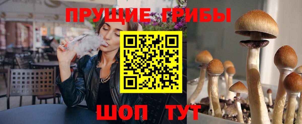 Вязьма  Галлюциногенные грибы Magic Shrooms  Вход с VPN 